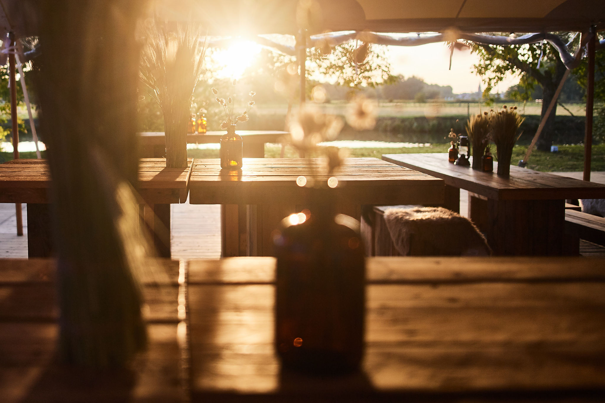 dried flowers in brown vases in the evening sun