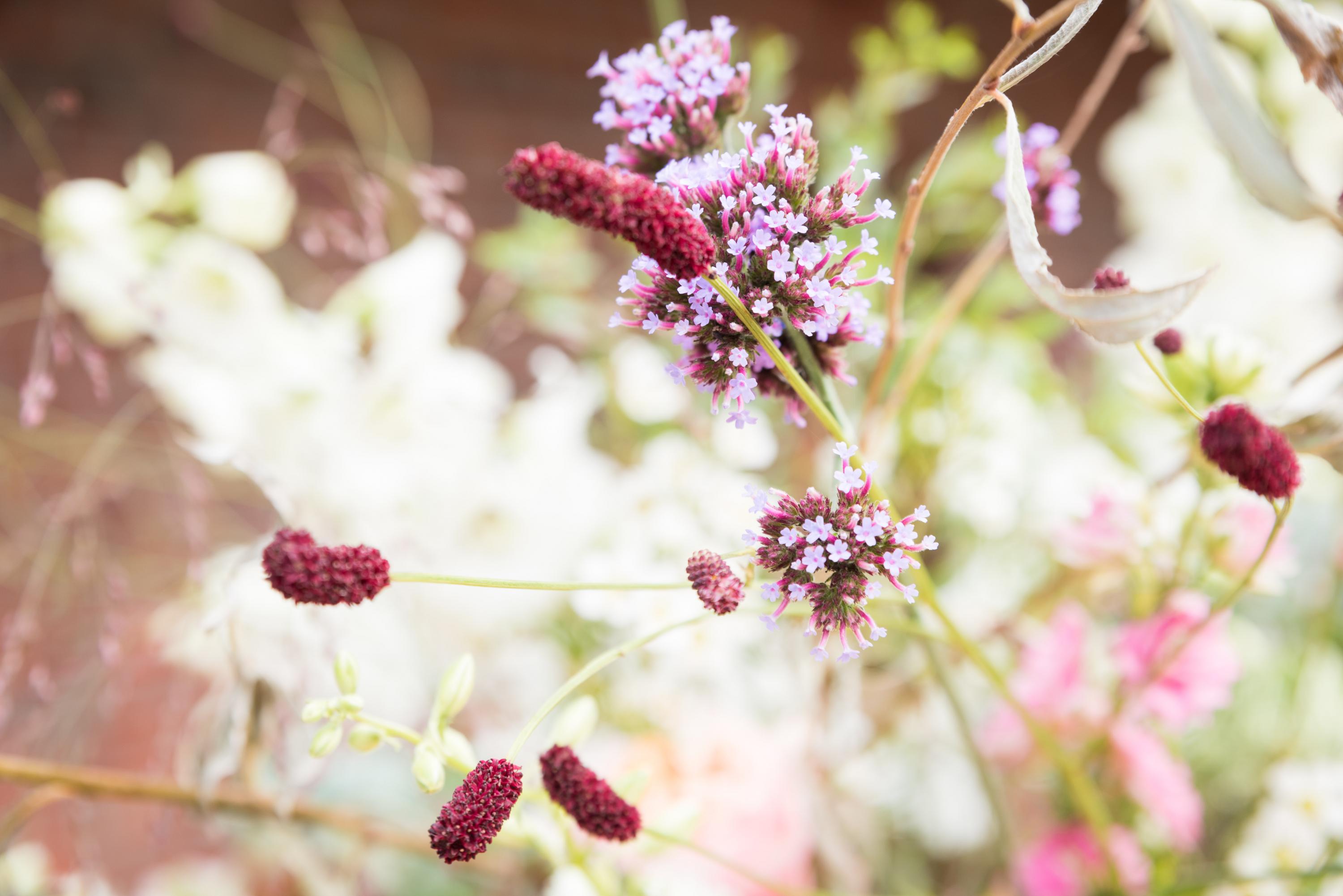 close up of flowers