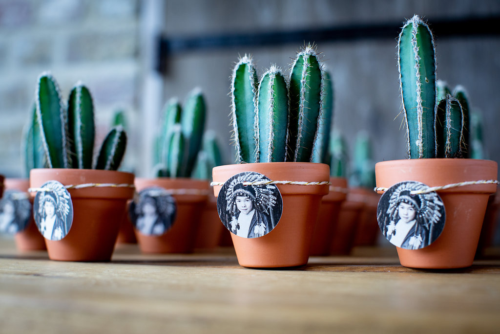 give-away cacti